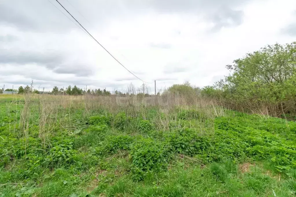 Участок в Тюменская область, Нижнетавдинский муниципальный округ, ... - Фото 0