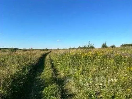 Участок в Ярославская область, Рыбинский муниципальный округ, д. ... - Фото 1