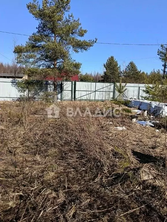 Участок в Ленинградская область, Всеволожский район, Рахьинское ... - Фото 1