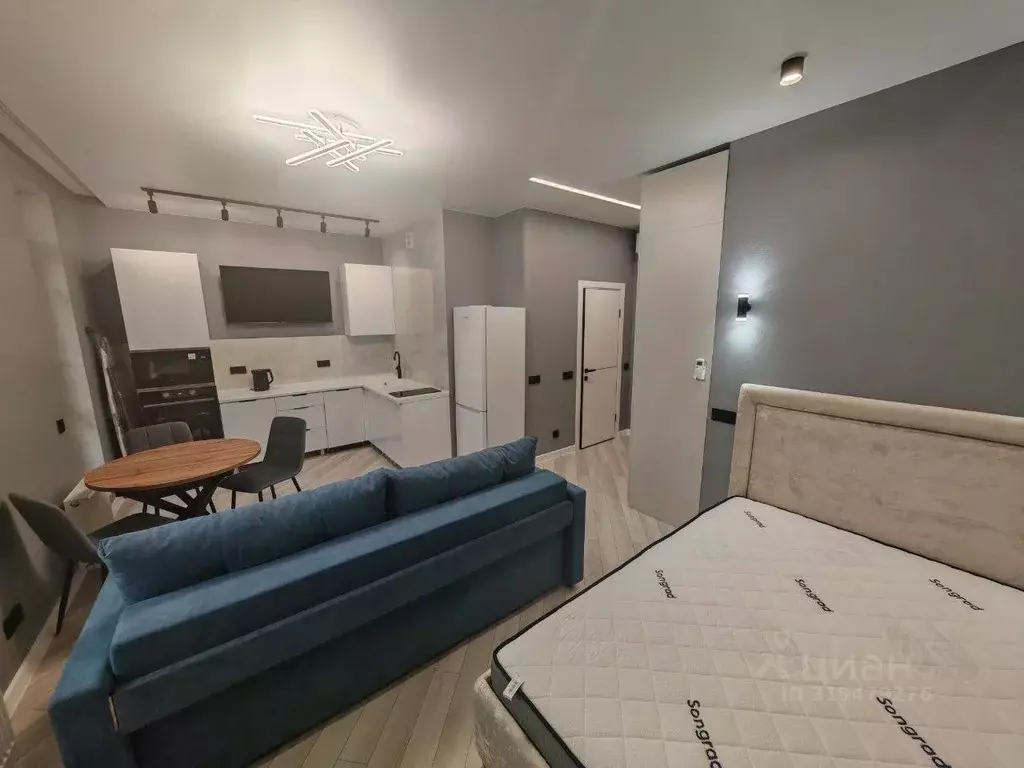 Студия Новосибирская область, Новосибирск ул. Фрунзе, 220 (33.0 м) - Фото 1