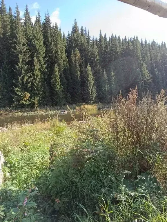 Участок в Свердловская область, Нижние Серги ул. Розы Люксембург, 3 ... - Фото 1