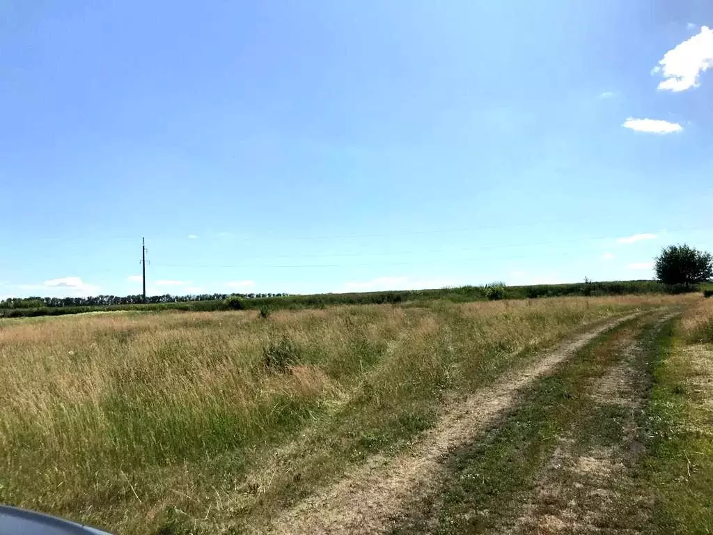 Участок в Белгородская область, Борисовский район, с. Грузское  (44.0 ... - Фото 1