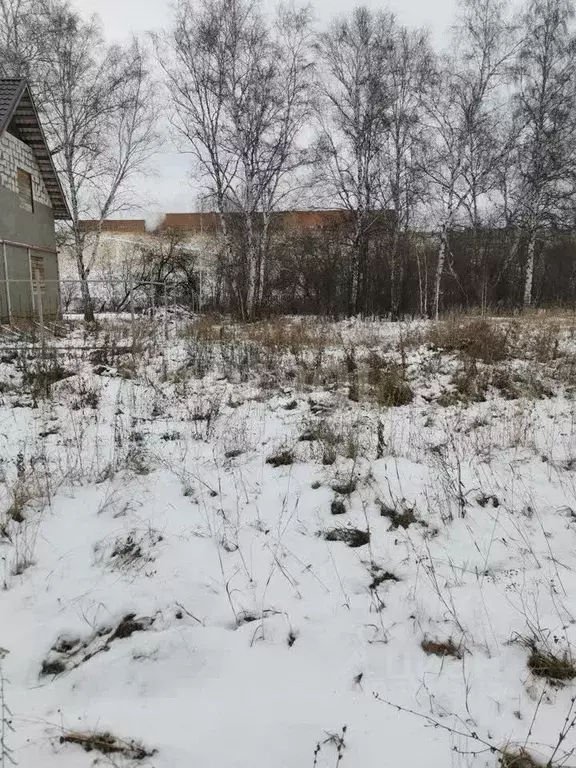 Участок в Новосибирская область, Бердск  (10.0 сот.) - Фото 1