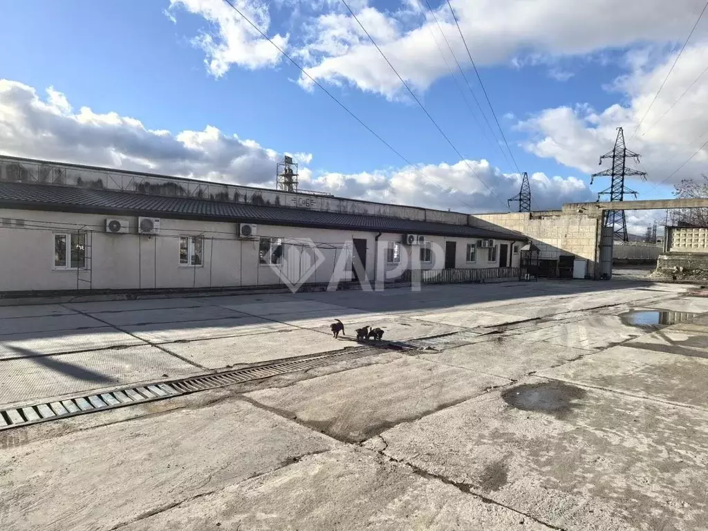 Производственное помещение в Краснодарский край, Новороссийск ... - Фото 1