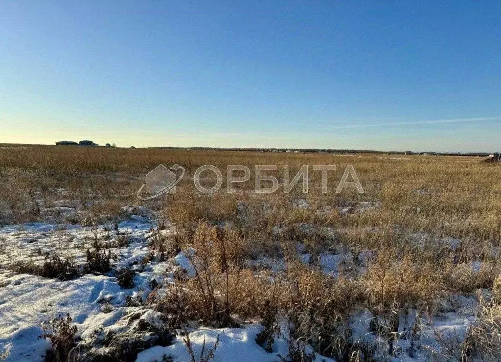 Участок в Тюменская область, Тюменский район, Новокаменский кп ул. ... - Фото 1