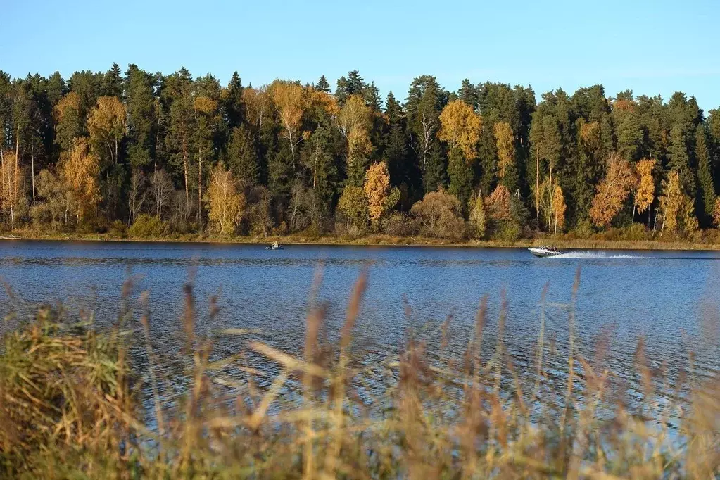 Участок в Московская область, Волоколамский муниципальный округ, КП ... - Фото 1