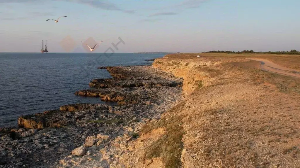 Участок в Крым, Черноморский район, с. Новосельское, Мечта-1 СНТ 651 ... - Фото 1