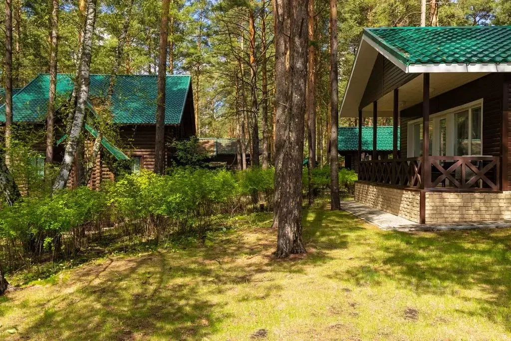 Дом в Алтай, Майминский район Р-256 Чуйский тракт, 481-й км (60 м) - Фото 1