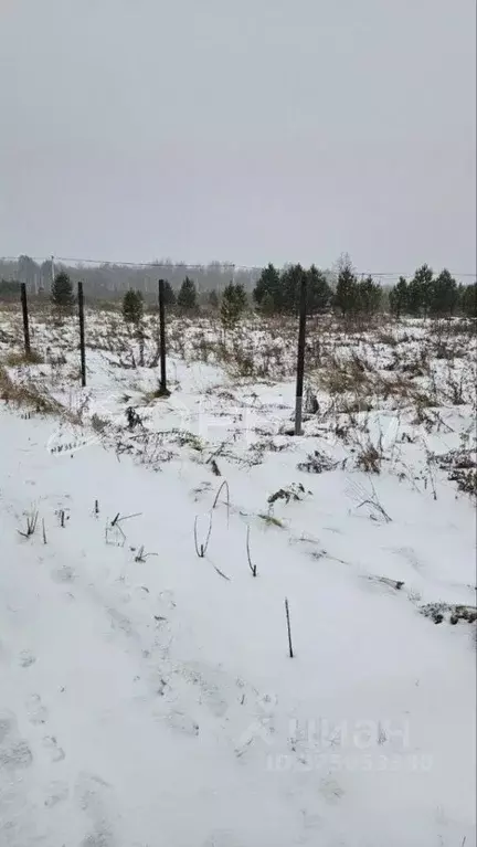 Участок в Тюменская область, Тюменский муниципальный округ, д. ... - Фото 2