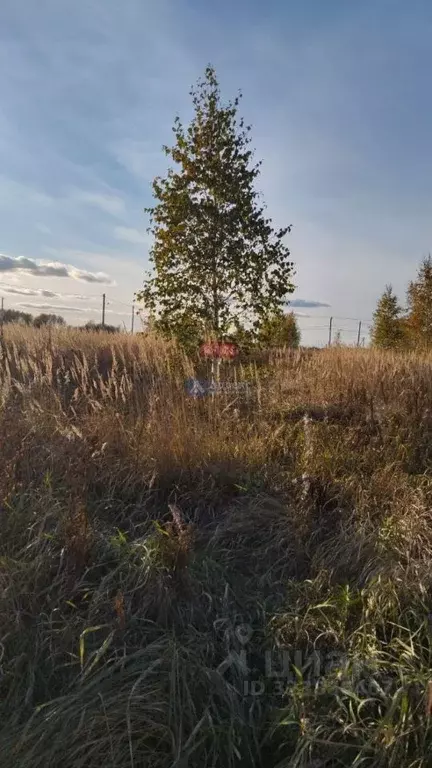 Участок в Тюменская область, Тюменский муниципальный округ, с. Борки  ... - Фото 2