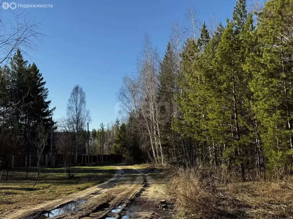 Участок в Сенгилеевский район, Красногуляевское городское поселение, ... - Фото 2