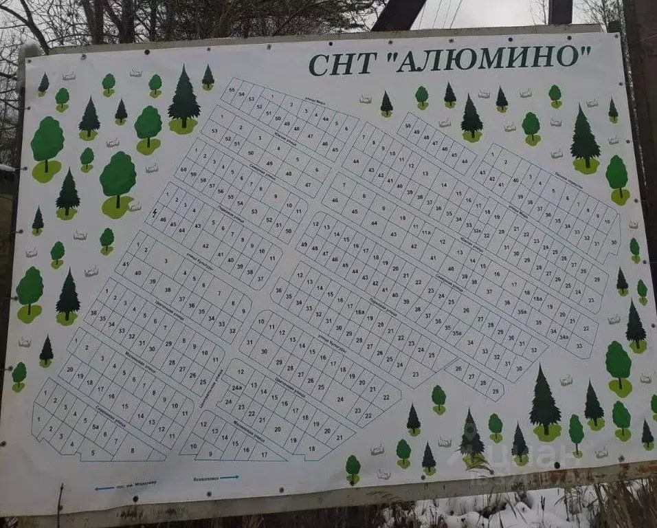 Участок в Ленинградская область, Всеволожский район, Щегловское с/пос, ... - Фото 1