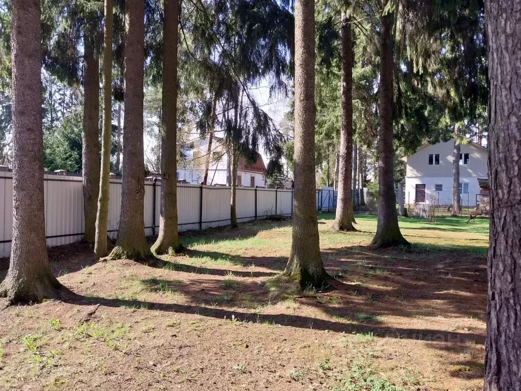 Участок в Ленинградская область, Всеволожск Николаевская ул., 63 (23.1 ... - Фото 1