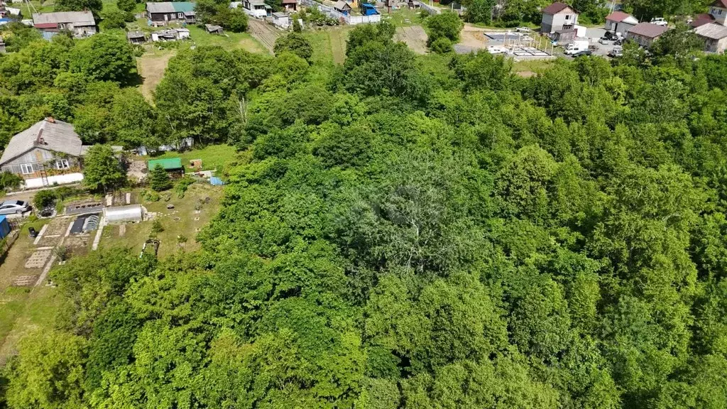 Участок в Приморский край, Артемовский городской округ, с. Кролевцы  ... - Фото 1