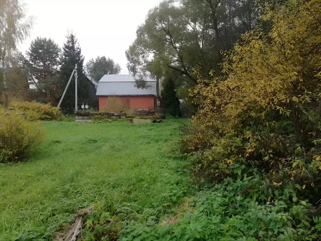 Участок в Москва Имени 70-летия ВЛКСМ СНТ,  (6.0 сот.) - Фото 1