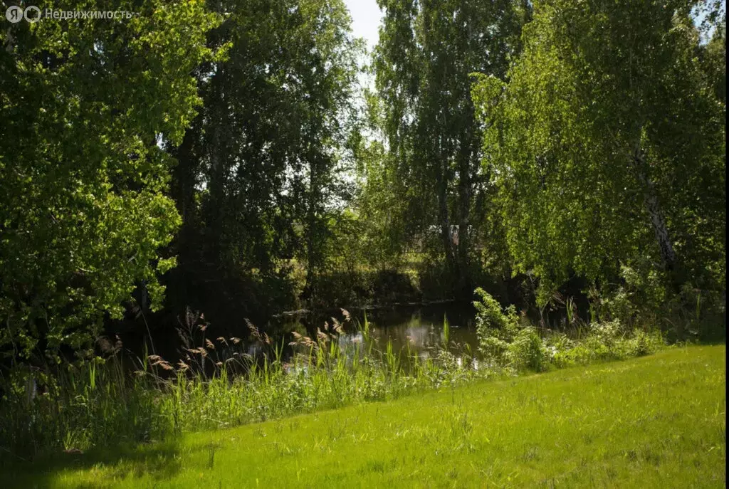 Дом в Новосибирский район, Кудряшовский сельсовет, посёлок ... - Фото 2