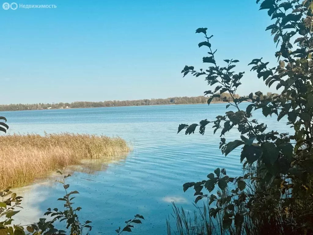 Участок в Скребловское сельское поселение, деревня Домкино (22.3 м) - Фото 0