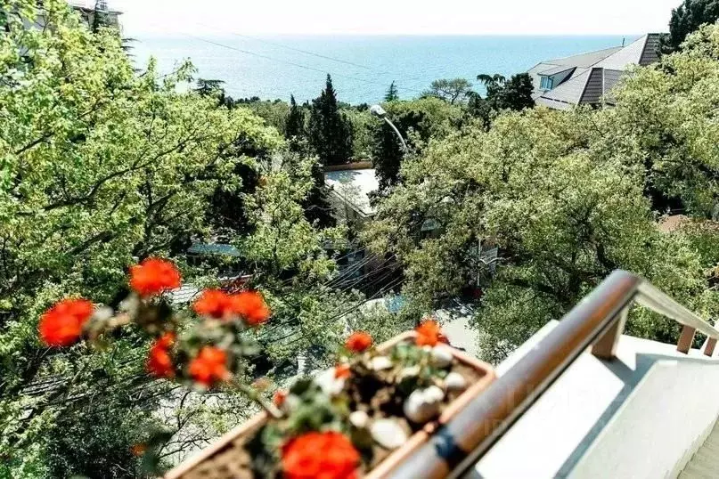 1-к кв. Крым, Ялта муниципальный округ, Кореиз пгт ш. Алупкинское, 15А ... - Фото 2