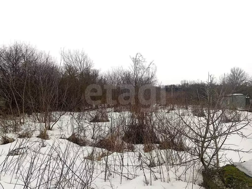 Участок в Белгородская область, городское поселение посёлок Чернянка, ... - Фото 2