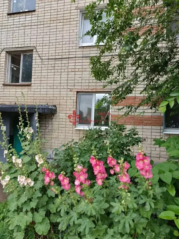 Студия Белгородская область, Белгород пер. 1-й Заводской, 4Б (12.2 м) - Фото 0