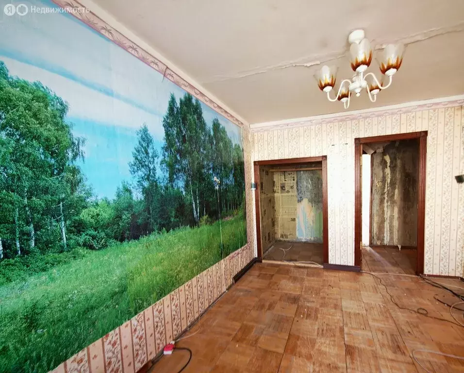 2-комнатная квартира: деревня Кострово, Центральная улица, 15 (47.7 м) - Фото 1