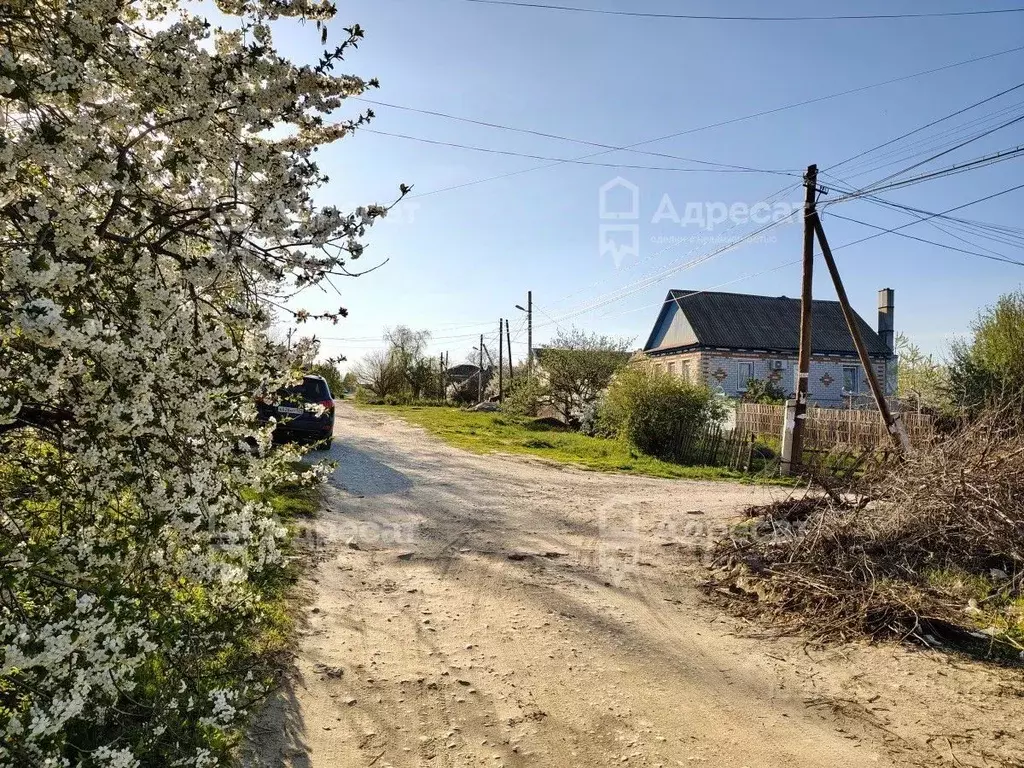 Участок в Волгоградская область, Волгоград ул. Зевина (4.98 сот.) - Фото 1