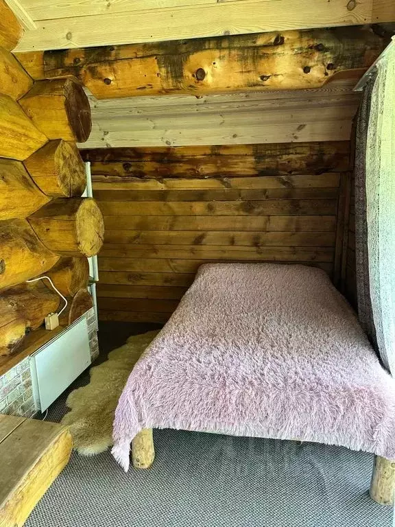 Дом в Алтай, Чемальский район, пос. Усть-Сема ул. Зеленая, 2Б (43 м) - Фото 1