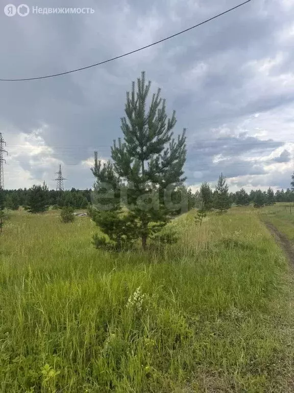 Участок в Шадринск, улица Носилова (862 м) - Фото 1
