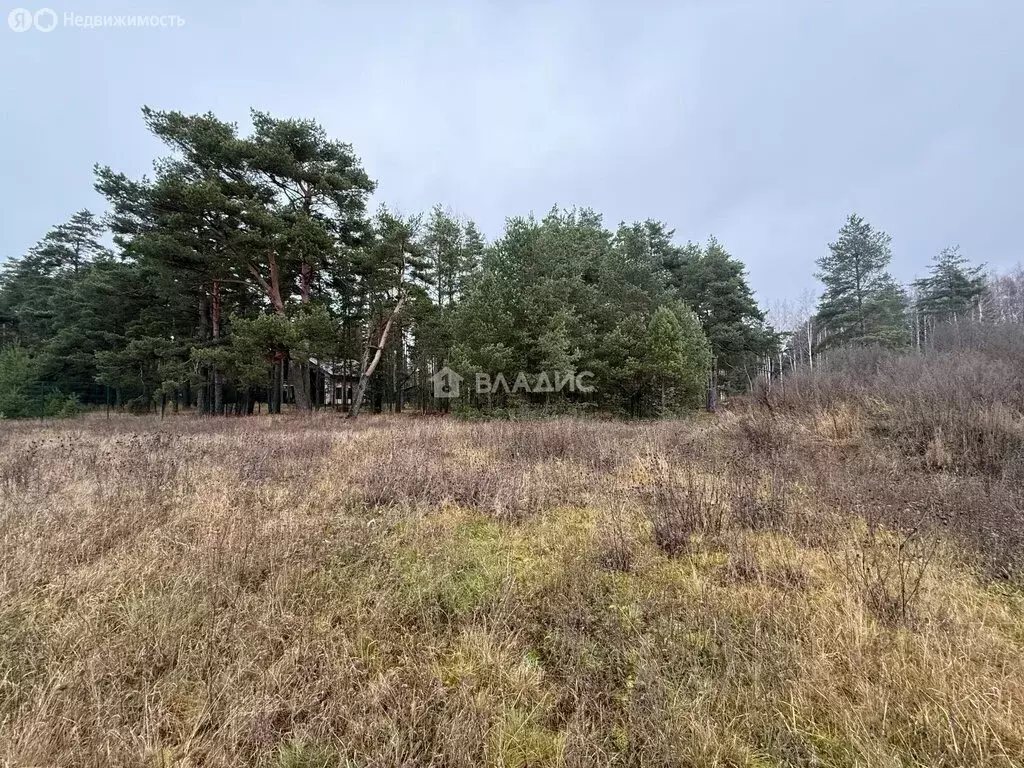 Участок в Ярославская область, Рыбинский муниципальный округ, ... - Фото 2