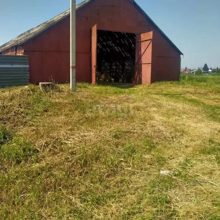 Склад в Новосибирская область, Новосибирский район, с. Толмачево ... - Фото 2