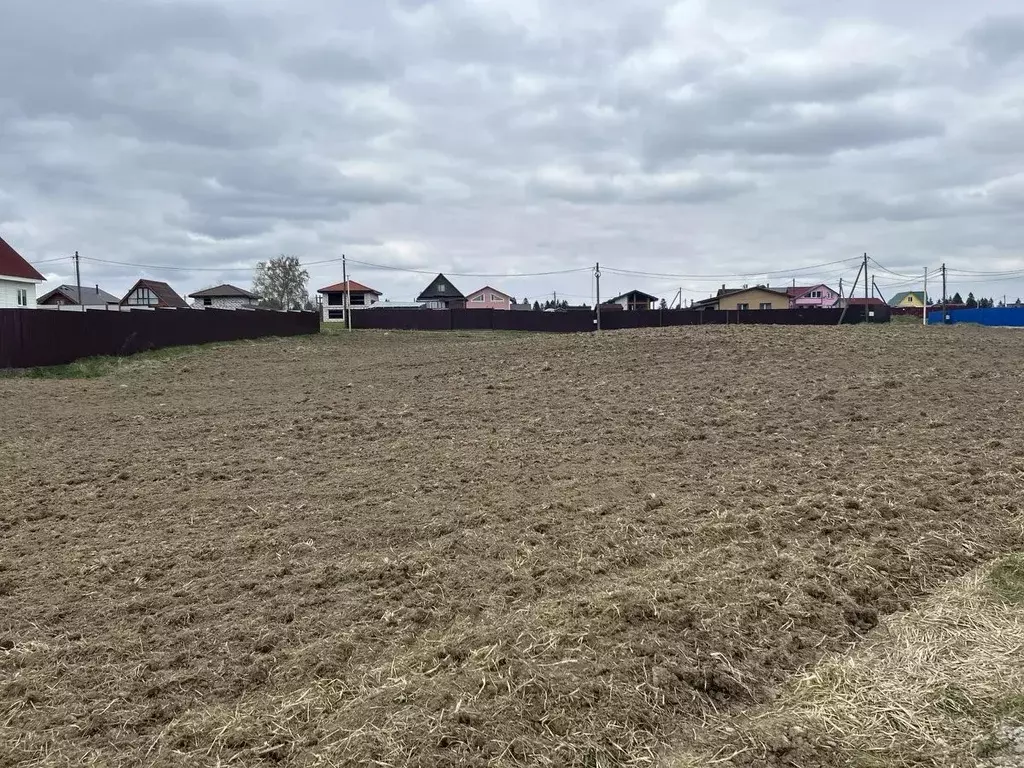 Участок в Ленинградская область, Ломоносовский район, Гостилицкое ... - Фото 1