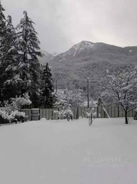 Участок в Краснодарский край, Сочи Красная Поляна пгт,  (11.0 сот.) - Фото 1