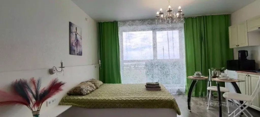 1-к кв. Челябинская область, Челябинск ул. Блюхера, 125А (28.0 м) - Фото 1