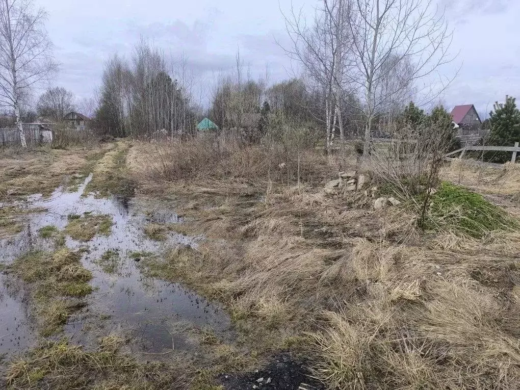 Участок в Московская область, Талдомский городской округ, Запрудня пгт ... - Фото 2