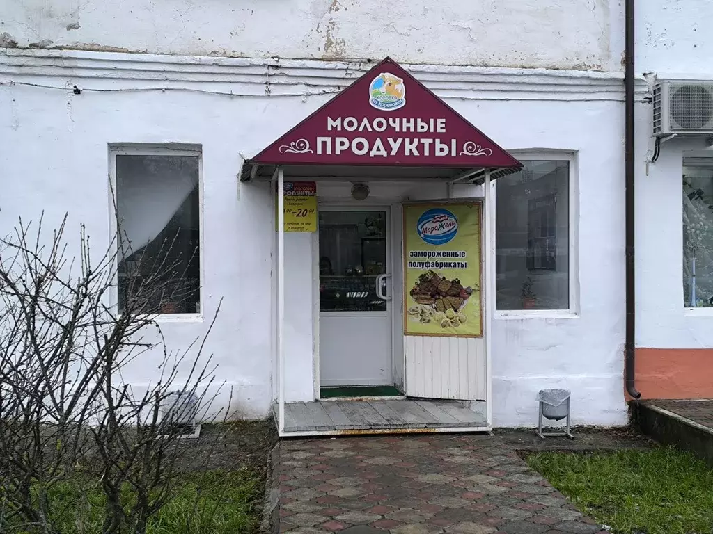 Помещение свободного назначения в Московская область, Озеры Коломна ... - Фото 1