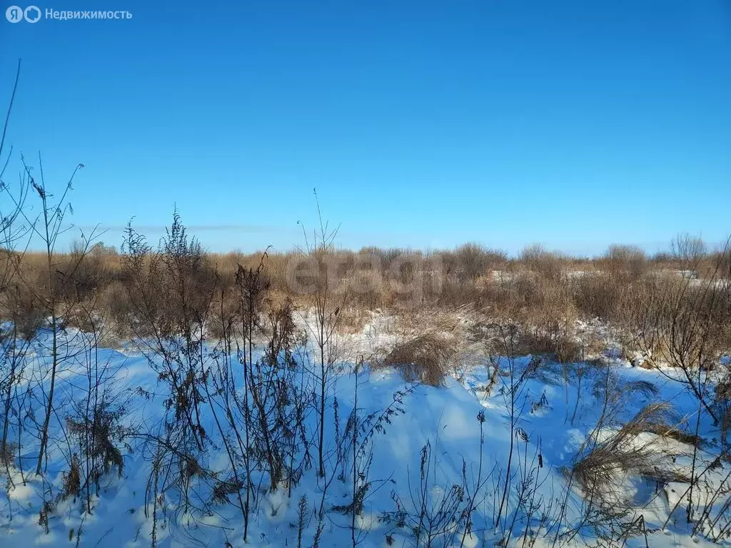 Участок в Благовещенск, территория Левобережье (15 м) - Фото 2