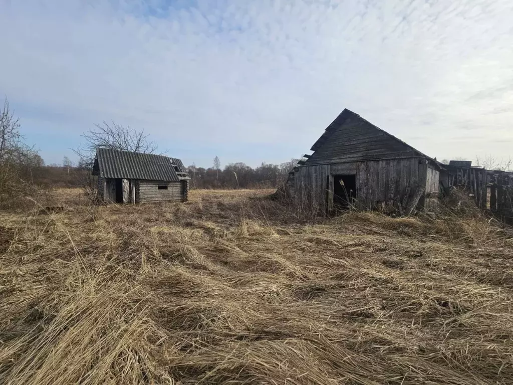 Участок в Псковская область, Дедовичский район, Пожеревицкая волость, ... - Фото 1