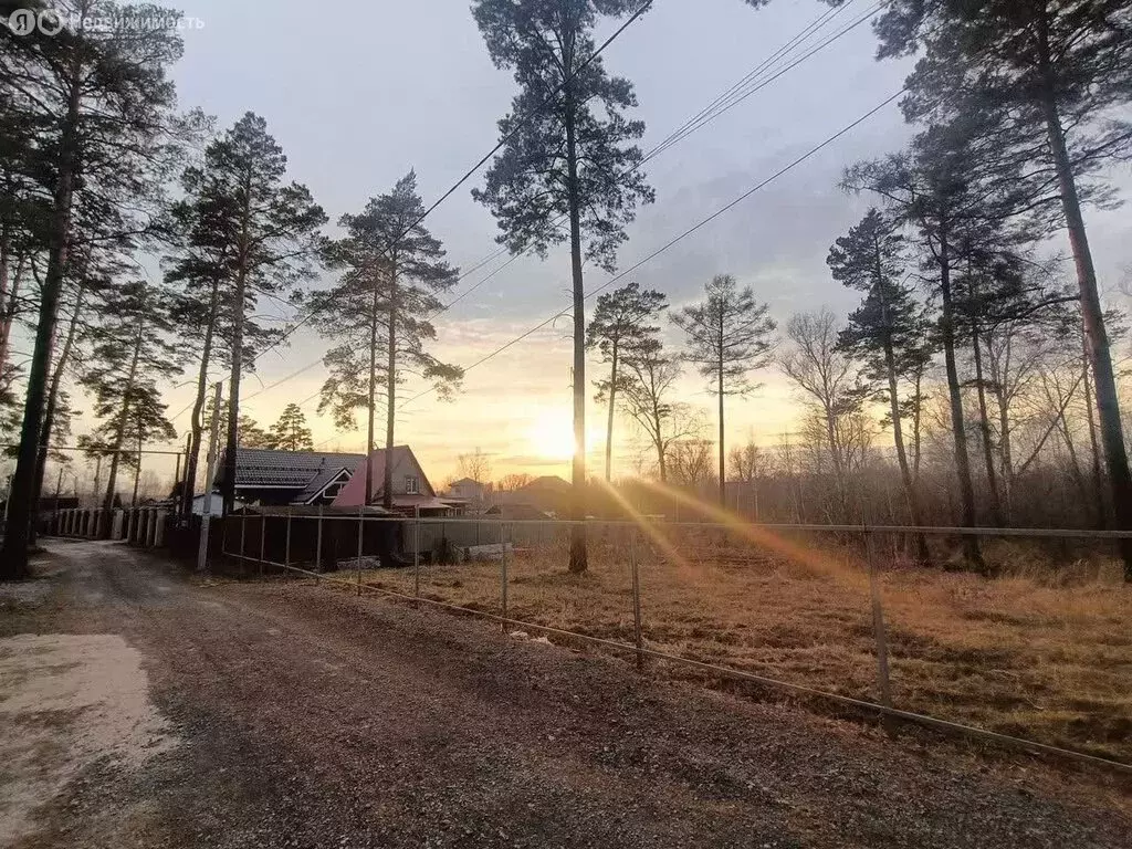Участок в Новосибирск, СНТ Маяк, Правобережная улица (8 м) - Фото 2