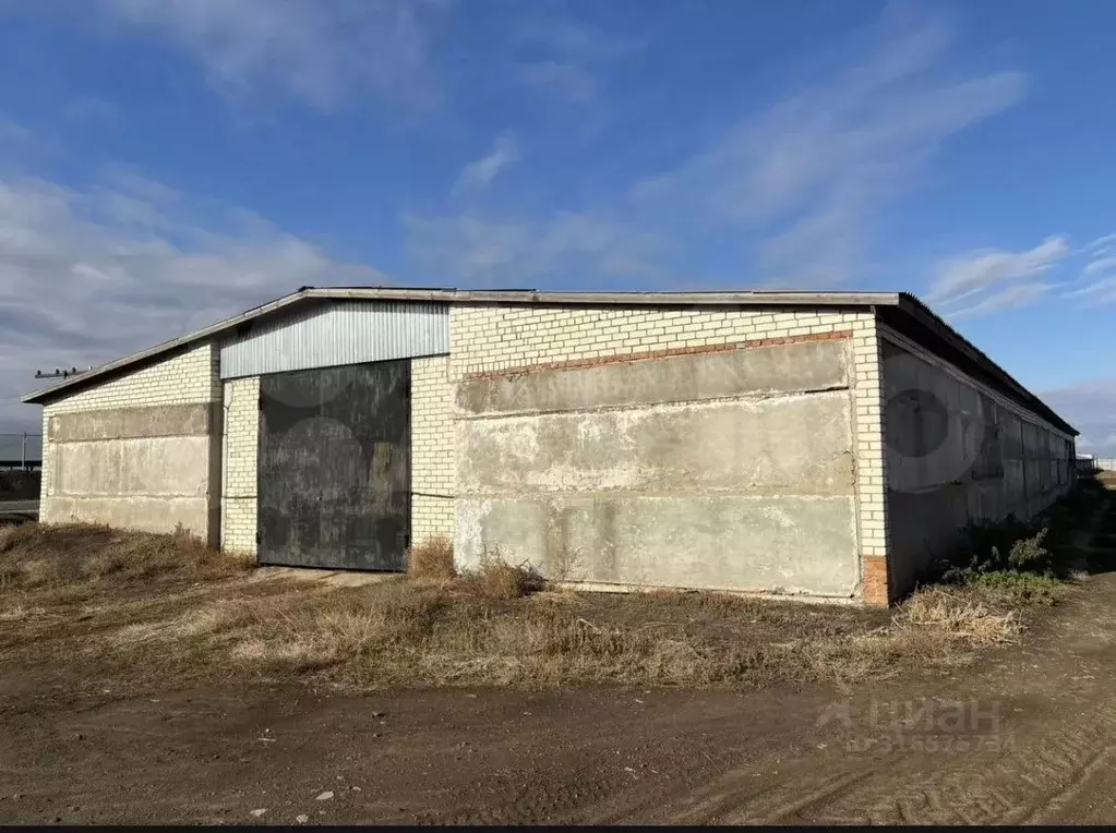 Склад в Саратовская область, Балаковский район, Натальинское ... - Фото 0