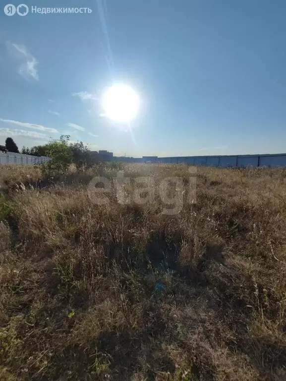 Участок в Репное, 1-й Новый переулок (15 м) - Фото 2