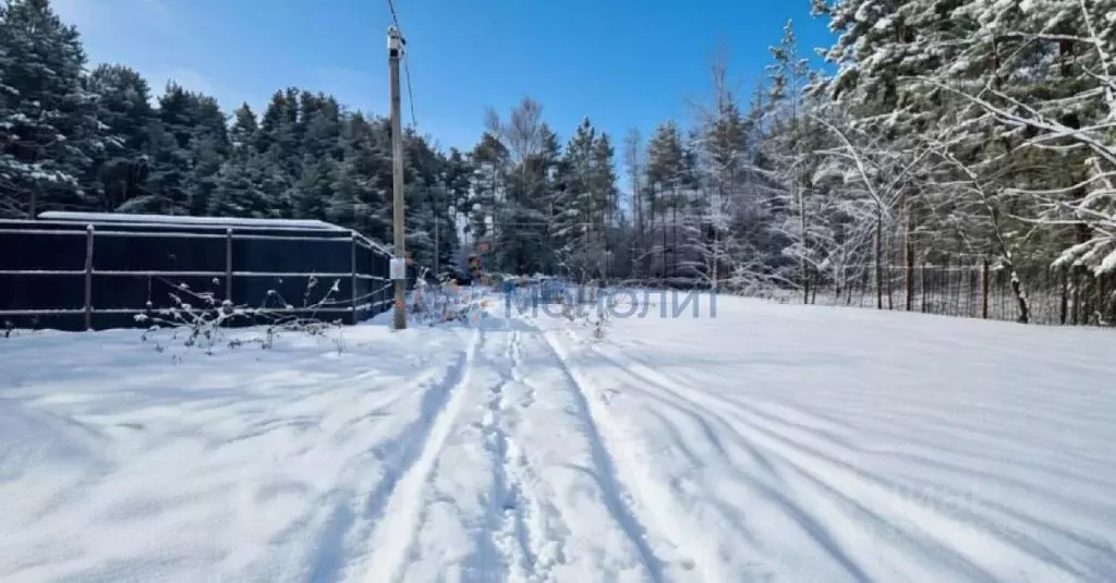 Участок в Нижегородская область, Городецкий муниципальный округ, д. ... - Фото 2