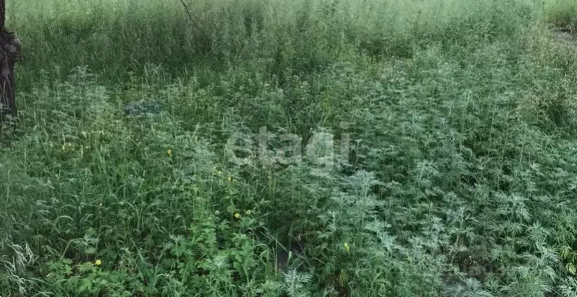 Участок в Московская область, Красногорск городской округ, пос. ... - Фото 1