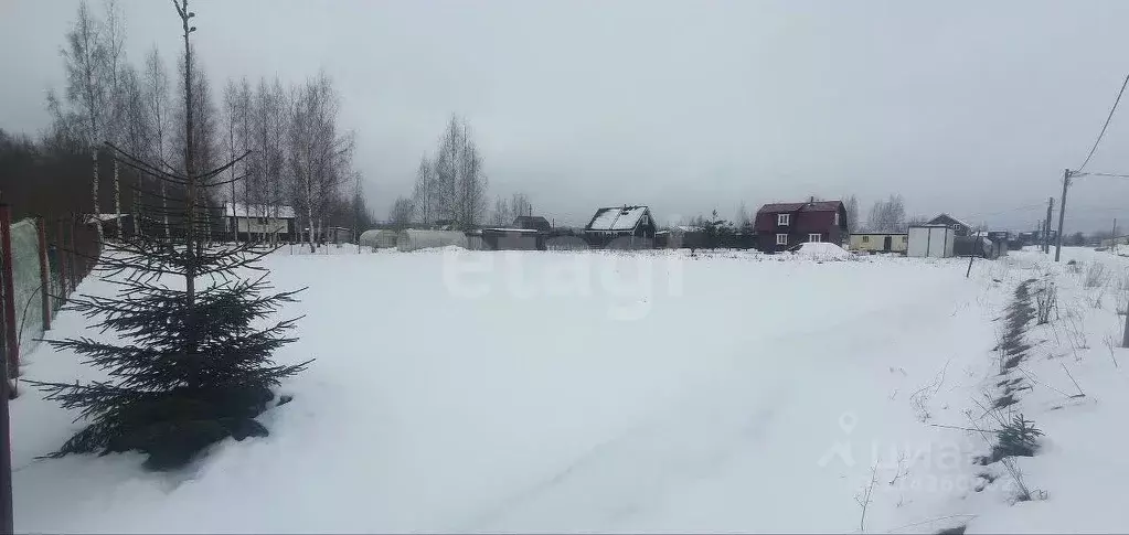 Участок в Ленинградская область, Ломоносовский район, Лопухинское ... - Фото 0