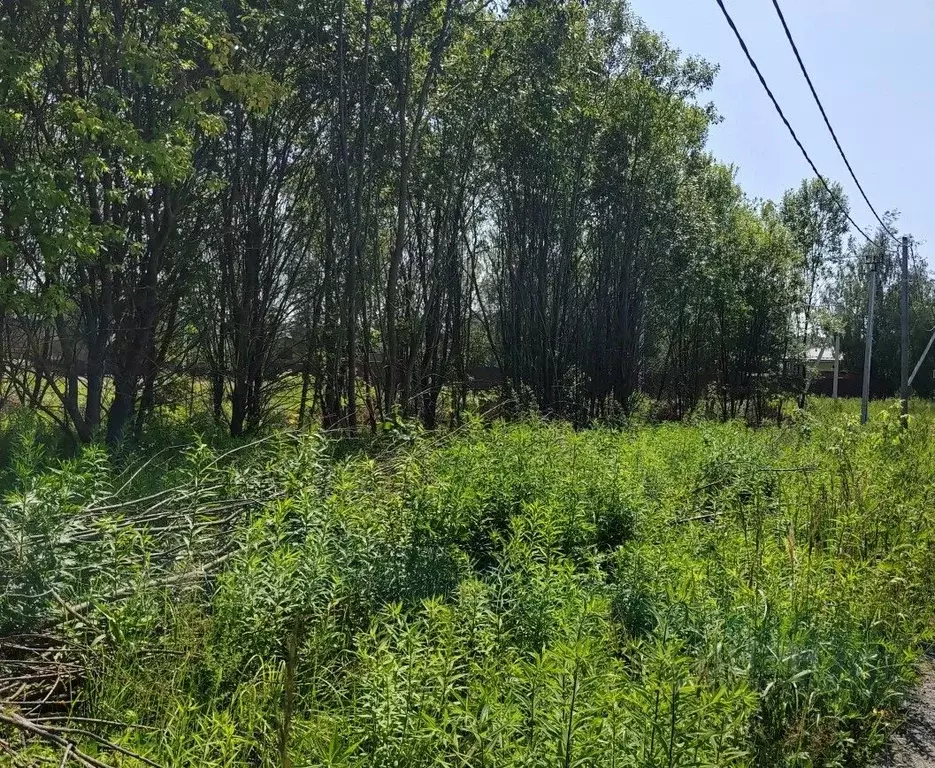 Участок в Московская область, Чехов муниципальный округ, пос. Васькино ... - Фото 2