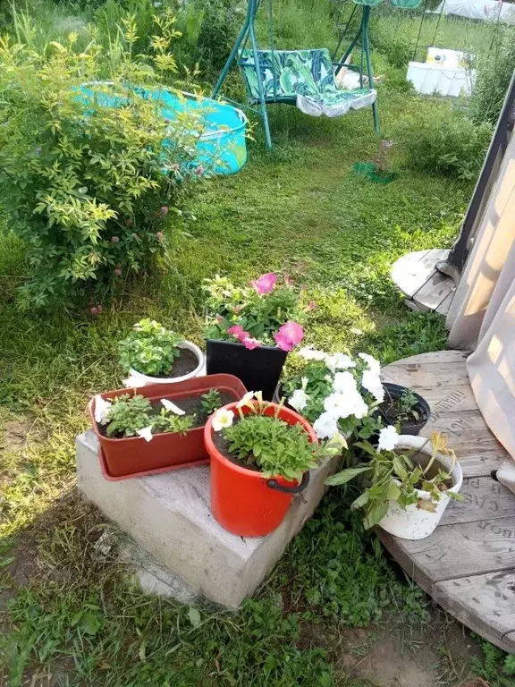 Дом в Пермский край, Пермь № 6 ТСН,  (20 м) - Фото 1