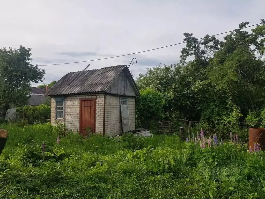 Участок в Белгородская область, Белгородский район, Северный городское ... - Фото 0