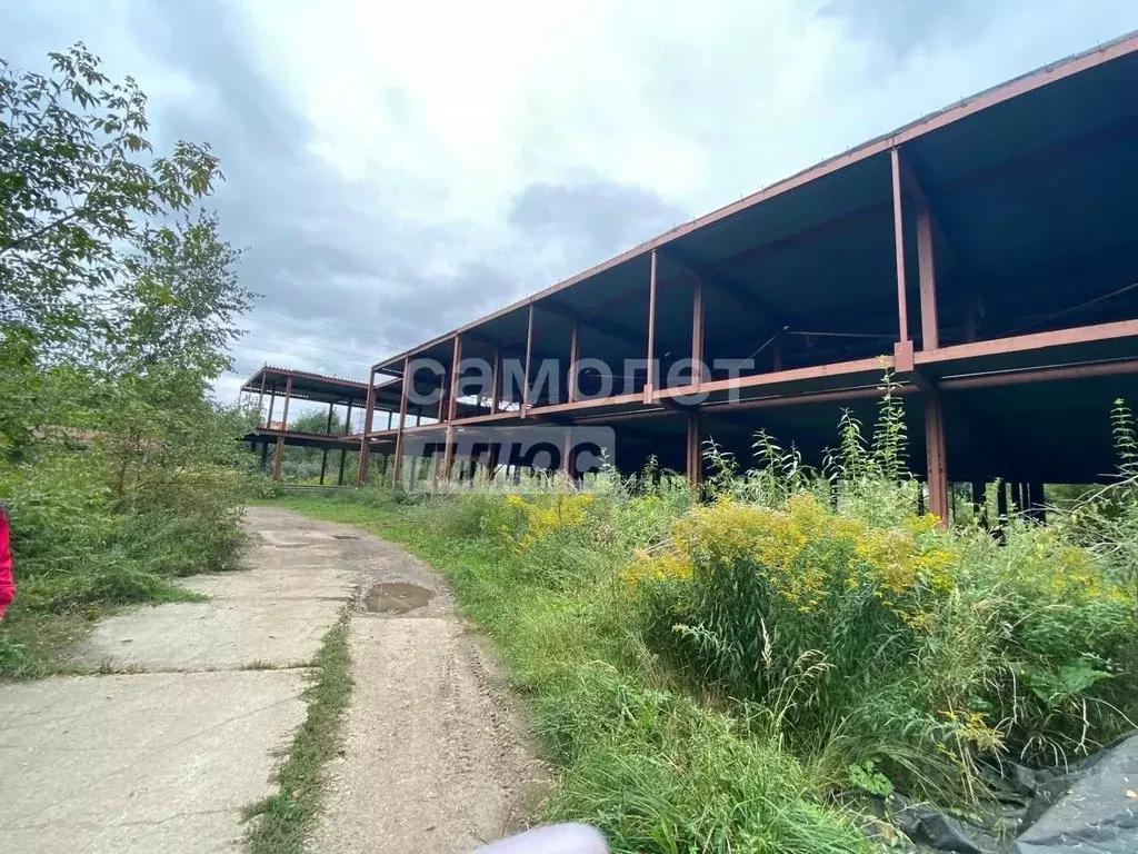 Торговая площадь в Московская область, Щелково Центральная ул., 102 ... - Фото 1