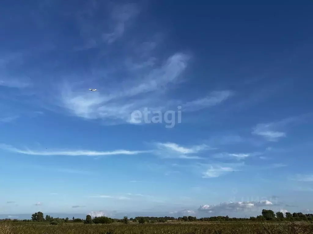 Участок в Ульяновская область, Старая Майна рп  (10.0 сот.) - Фото 1