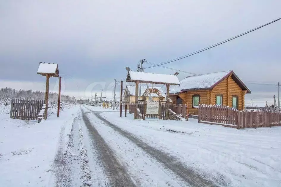 Участок в Тюменская область, Тюменский район, с. Каменка, Подушкино ... - Фото 0