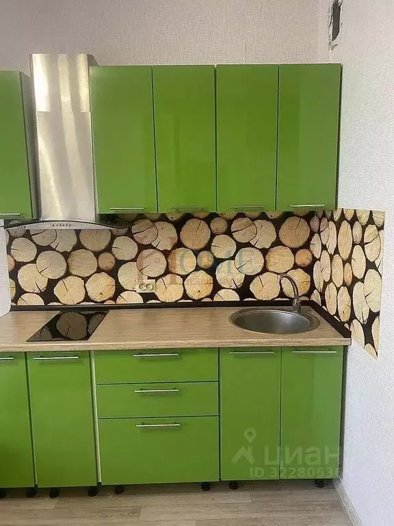 Студия Новосибирская область, Новосибирск ул. Петухова, 162 (30.0 м) - Фото 1